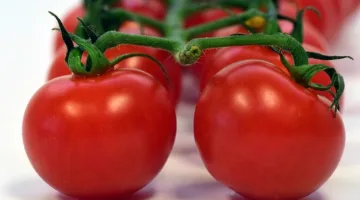 Tomat kaya akan vitamin A dan likopen, yang penting untuk kesehatan mata. (Pixabay.com/ulleo)