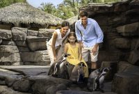 Bali Magical Adventure – Marine Safari Bali Brings a New Wave of Ocean Discovery to Southeast Asia
